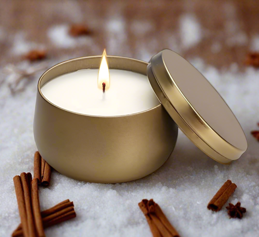 Cinnamon & Vanilla 2-Wick Candle